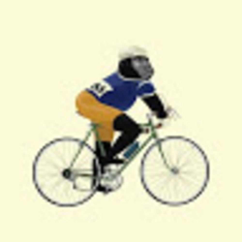 Meet your Posher, Sprocket monkey cycles